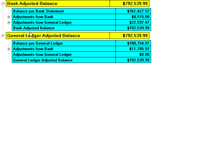 Bank Reconciliation software